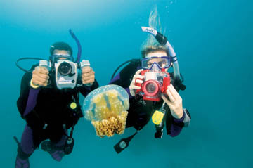 Digital Underwater Photography