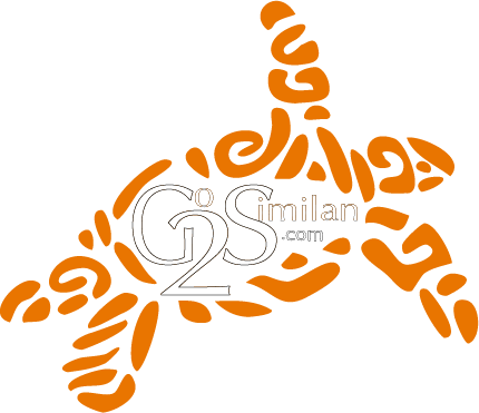 Go2Similan turtle logo