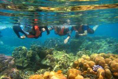 snorkel on shallow reefs