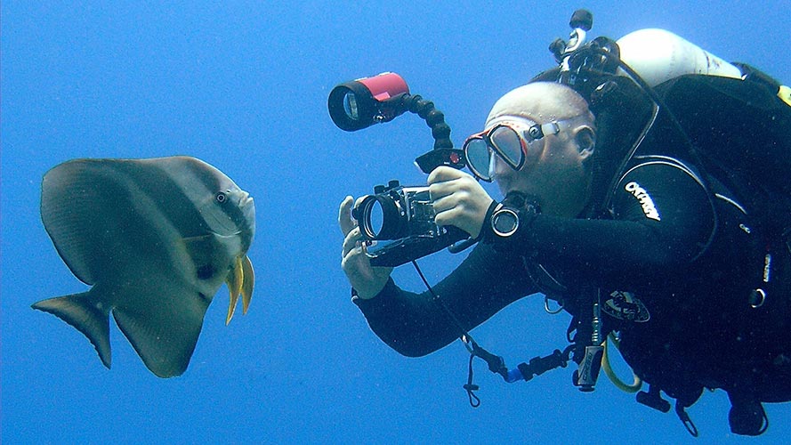 Digital underwater photography