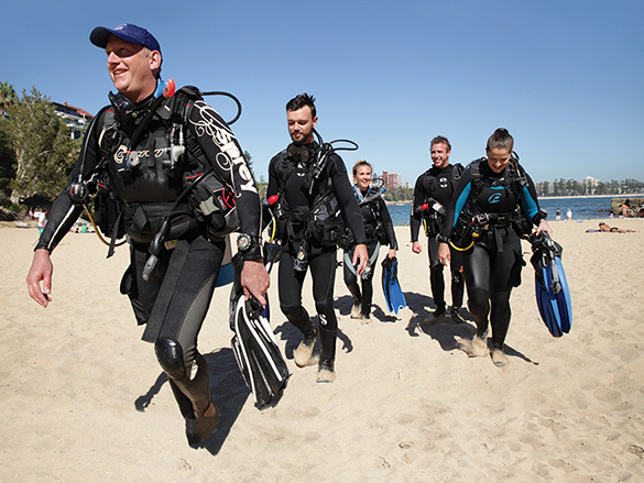 Get experience as a divemaster