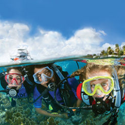 Open Water Diver course