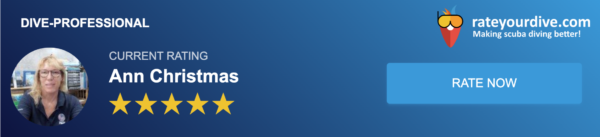 Ann Christmas rating