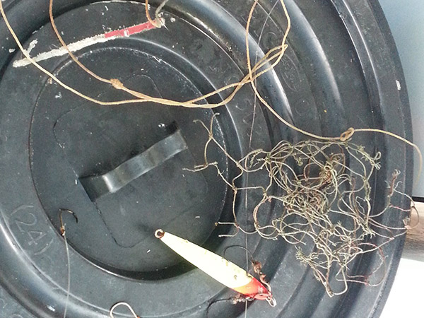discarded fishing line