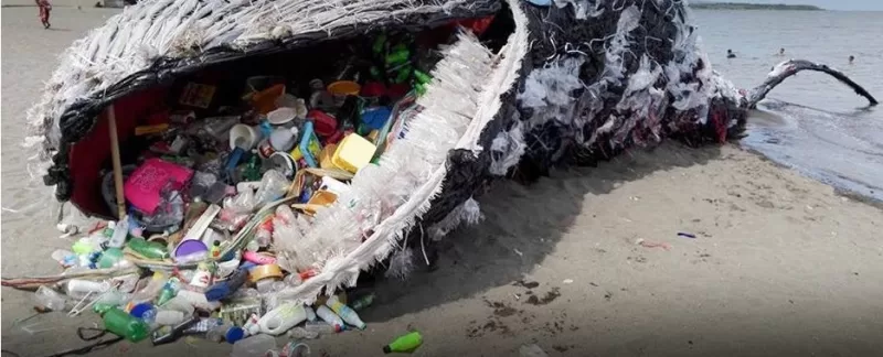 plastic pollution in the mouth of a dead whale