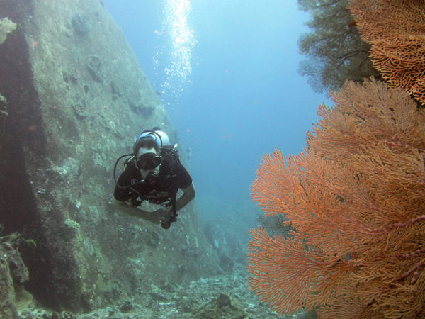Similan diving