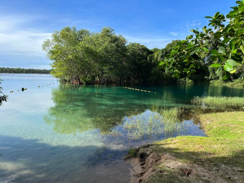 Training lake